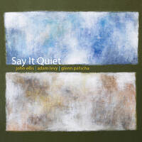 John Ellis / Adam Levy / Glenn Patscha - Say It Quiet