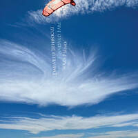 Dahveed Behroozi - Standard Fare