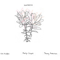 Kirk Knuffke, Marilyn Crispell & Thommy Anderson - Paintbrush
