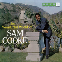 Sam Cooke - The Wonderful World of Sam Cooke / 180 gram vinyl LP