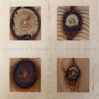 Eric Revis - Slipknots Through A Looking Glass