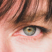 Sara Schoenbeck - Sara Schoenbeck