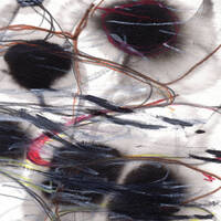 Tony Malaby's Sabino - The Cave Of Winds