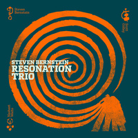 Steven Bernstein & ResoNation Trio - Ultra Resonance
