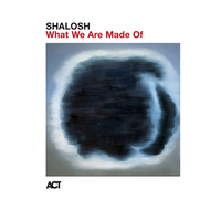 Shalosh - What We Are Made Of