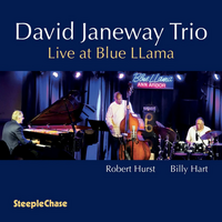 David Janeway Trio - Live At Blue LLama