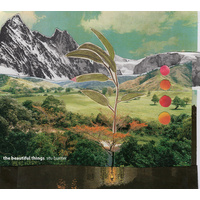 stu hunter - the beautiful things