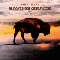 Robert Plant - Saving Grace - Vinyl LP