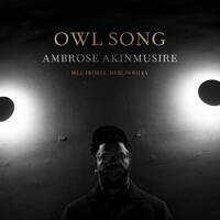 Ambrose Akinmusire - Owl Song - Vinyl LP