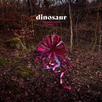Dinosaur - Wonder Trail - Vinyl LP
