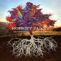 Robert Plant - Digging Deep: Subterranea / 2CD set