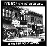 Don Was and the Pan-Detroit Ensemble - Groove in the Face of Adversity - Vinyl LP