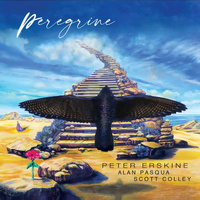 Peter Erskine - Peregrine