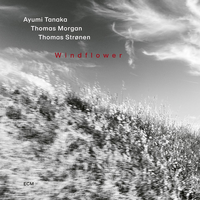 Ayumi Tanaka, Thomas Morgan & Thomas Strønen - Windflower