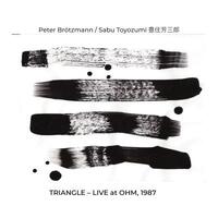 Peter Brötzmann & Sabu Toyozumi - TRIANGLE, Live at OHM, 1987