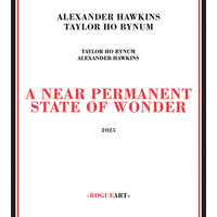 Alexander Hawkins / Taylor Ho Bynum - A Near Permanent State Of Wonder