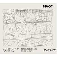Mats Gustafsson, Ken Vandermark, Tomeka Reid & Chad Taylor - Pivot