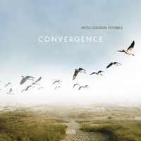 Mezza / Ginsburg Ensemble - Convergence