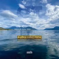 Oddgeir Berg Trio - A place called Home
