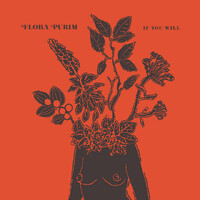 Flora Purim - If You Will / vinyl LP
