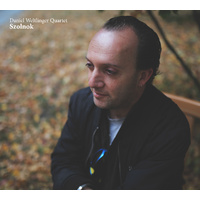 Daniel Weltlinger - Szolnok