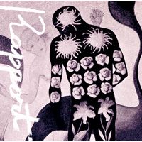 Yusei Takahashi - Rapport