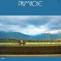 Hiromasa Suzuki Trio - Primrose - Vinyl LP