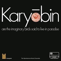 Spontaneous Music Ensemble - Karyobin