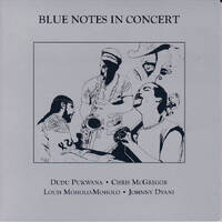 Blue Notes -  Blue Notes In Concert