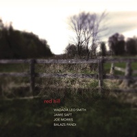Wadada Leo Smith - Red Hill