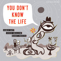 Jamie Saft - You Don't Know The Life - 180g Vinyl LP