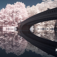 Liam Noble - The Long Game