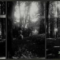 Eyolf Dale - The Wayfarers