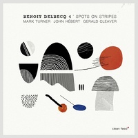 Benoit Delbecq 4 - Spots on Stripes
