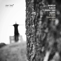Danilo Gallo Dark Dry Tears - A View Through A Slot