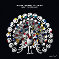 Gordon Grdina, Mat Maneri & Christian Lillinger - Live at the Armoury