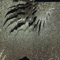 Pedro Alves Sousa - Má Estrela