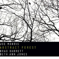 Joe Morris - Abstract Forest