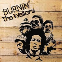 The Wailers - Burnin' - Vinyl LP