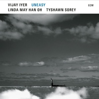 Vijay Iyer - UnEasy