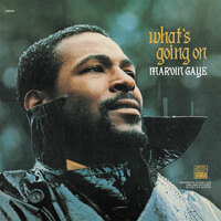Marvin Gaye - What's Going On - 2 x 180g Vinyl LPs