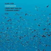 Vijay Iyer / Linda May Han Oh / Tyshawn Sorey - Compassion - 2 x Vinyl LPs
