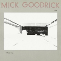 Mick Goodrick - In Pas(s)ing - Vinyl LP