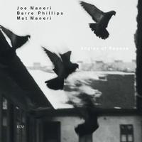Joe Maneri - Angles of Repose