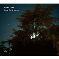 Oded Tzur - Here Be Dragons