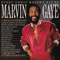 Marvin Gaye - Every Great Motown Hit Of Marvin Gaye - Vinyl LP
