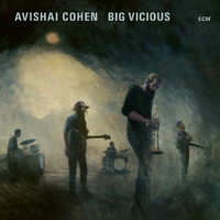 Avishai Cohen - Big Vicious - Vinyl LP