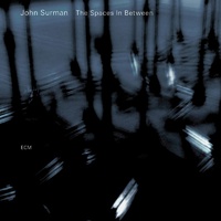 John Surman - The Spaces in Between