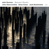 John Surman - Brewster's Rooster
