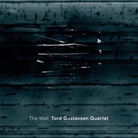 Tord Gustavsen Quartet - The Well